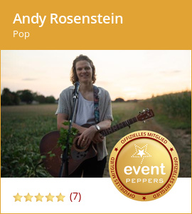 Andy Rosenstein: Einzelmusiker, Pop