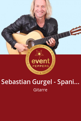 Sebastian Gurgel: Einzelmusiker, Gitarre